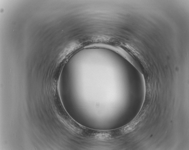 X0000060770168200511141306