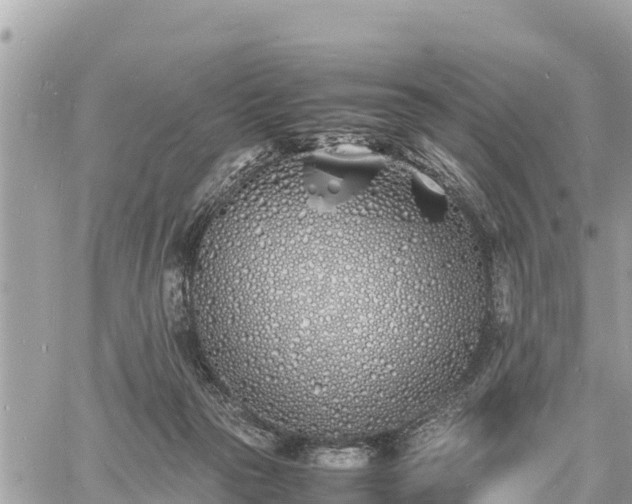 X0000060770169200511141306