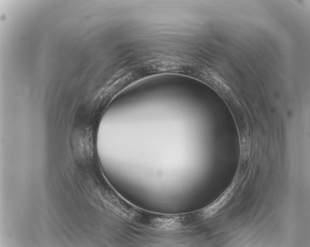 X0000060770170200511141306