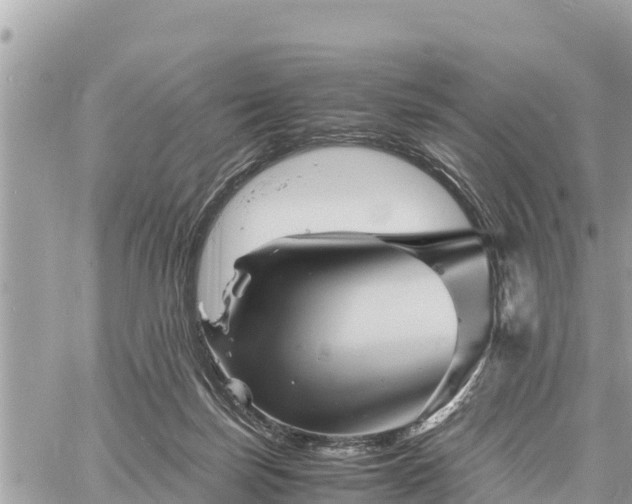 X0000060770171200511141306