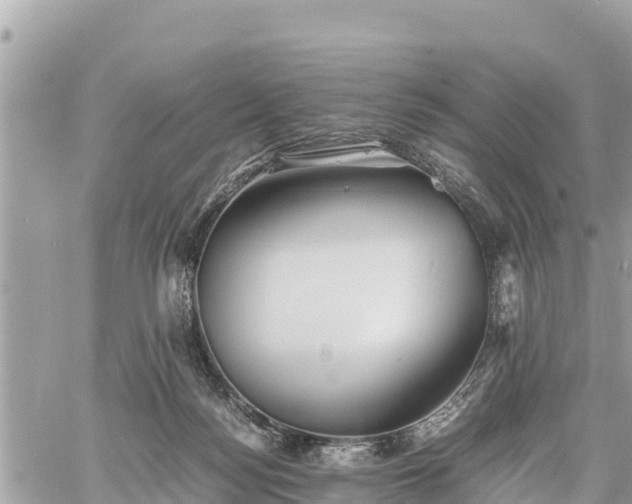 X0000060770172200511141306