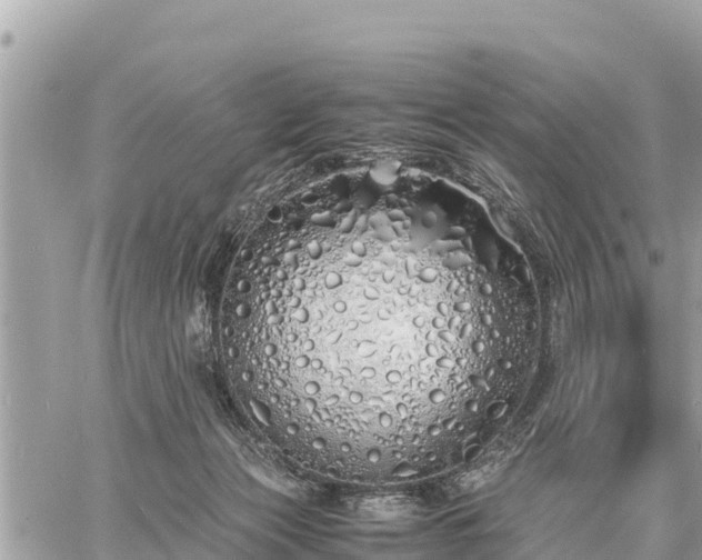 X0000060770173200511141307