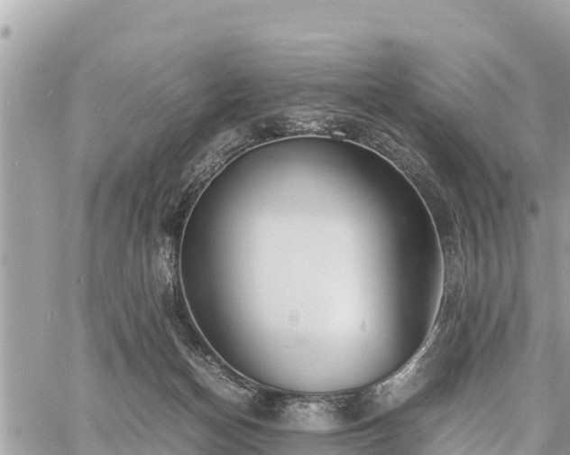 X0000060770174200511141307