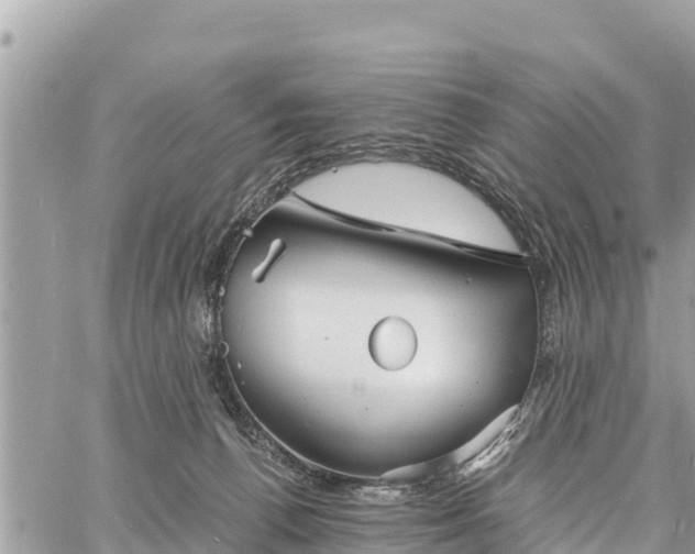 X0000060770176200511141307