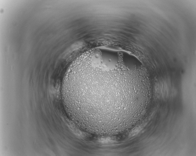 X0000060770177200511141307