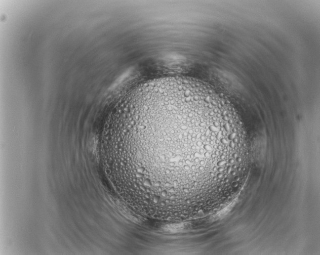 X0000060770178200511141307