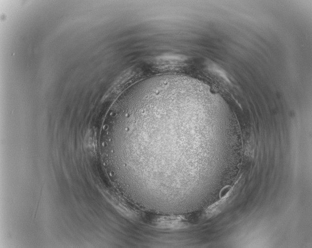 X0000060770179200511141307