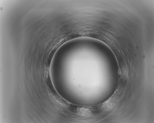 X0000060770180200511141307