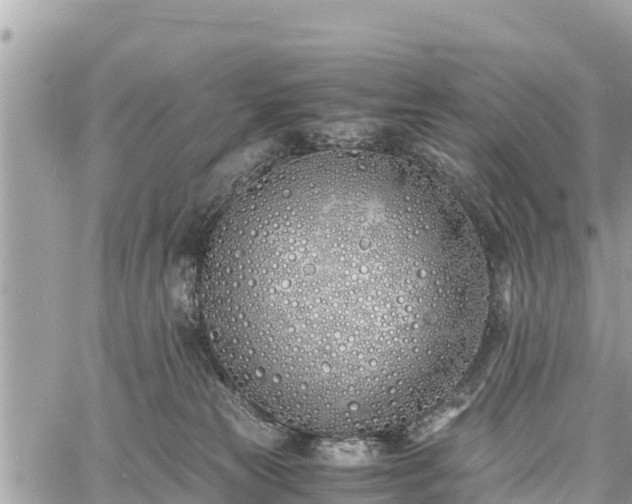 X0000060770181200511141307