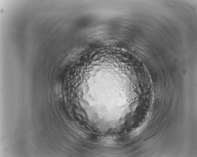 X0000060770182200511141307