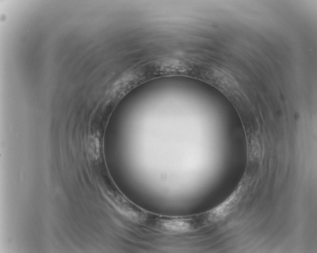 X0000060770183200511141307