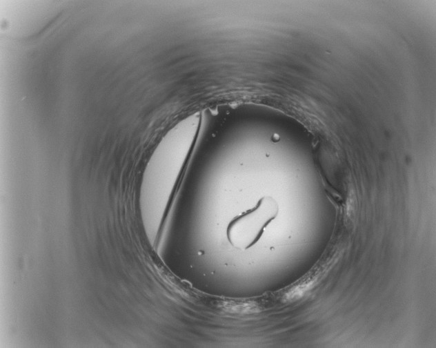 X0000060770185200511141307