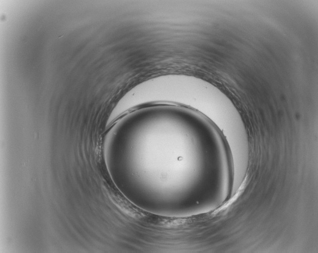 X0000060770186200511141307