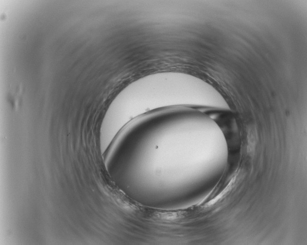 X0000060770187200511141307