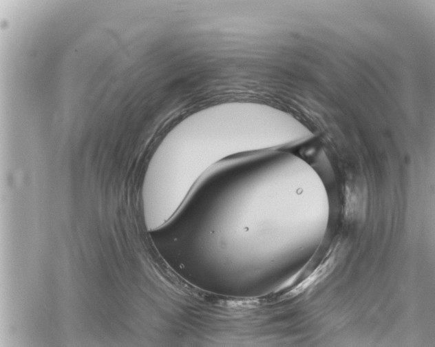 X0000060770188200511141307