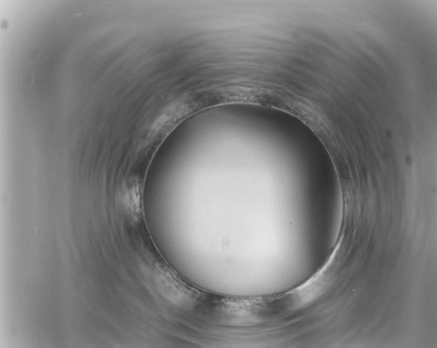 X0000060770190200511141307