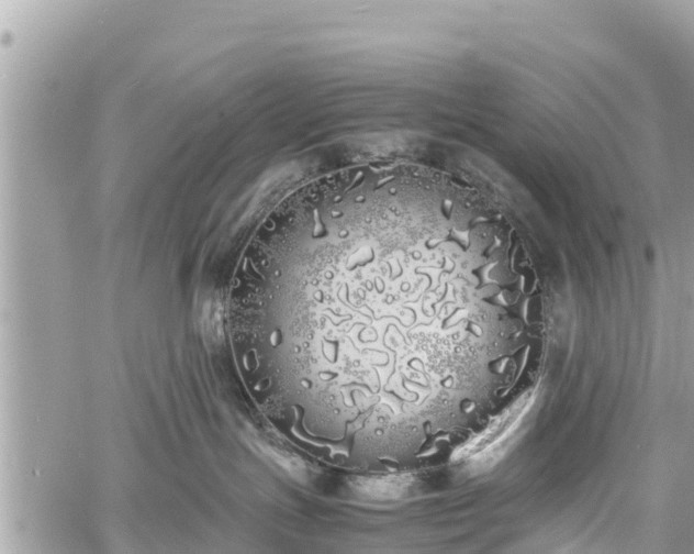 X0000060770191200511141307