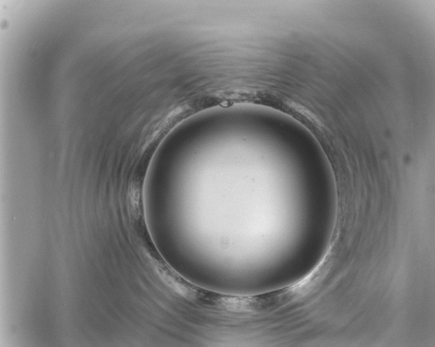 X0000060770192200511141307