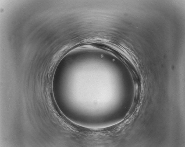 X0000060770193200511141306