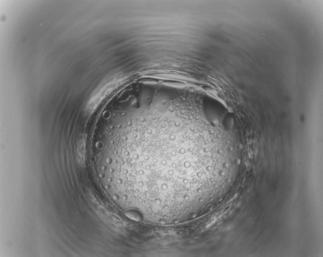 X0000060770194200511141306