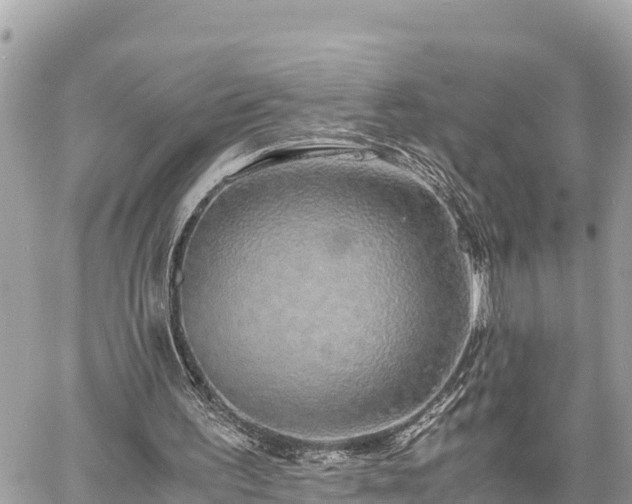 X0000060770195200511141306