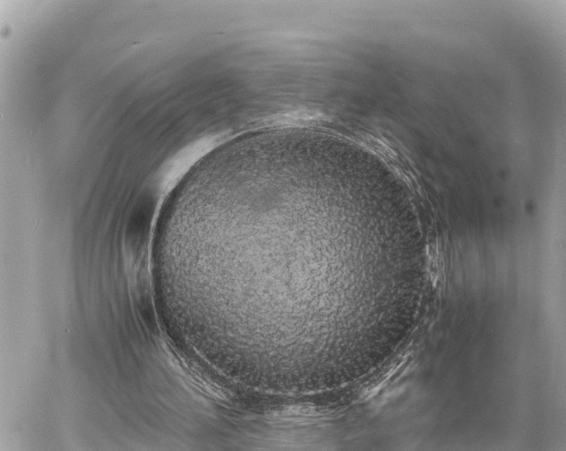 X0000060770196200511141306