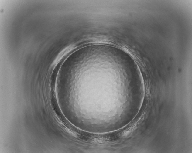 X0000060770199200511141306