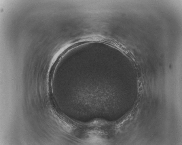 X0000060770200200511141306