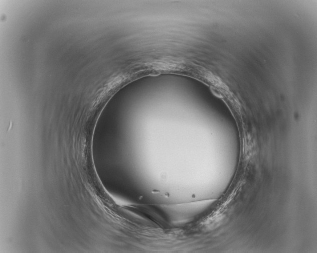 X0000060770201200511141306