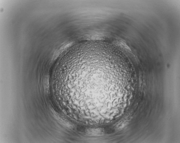 X0000060770202200511141306