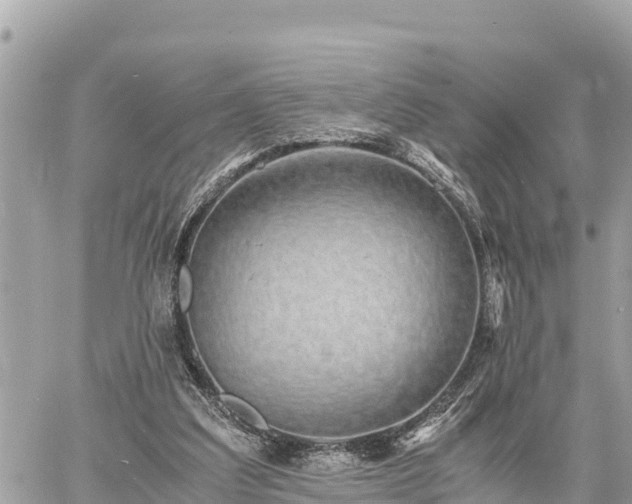 X0000060770203200511141306