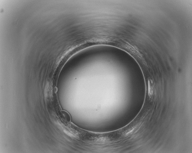 X0000060770204200511141306