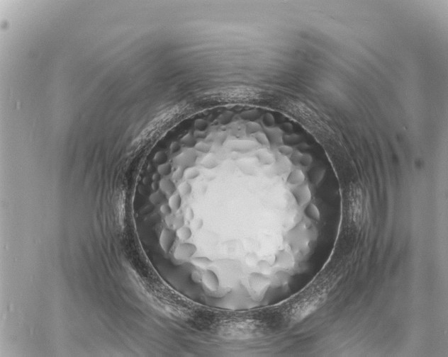 X0000060770206200511141306