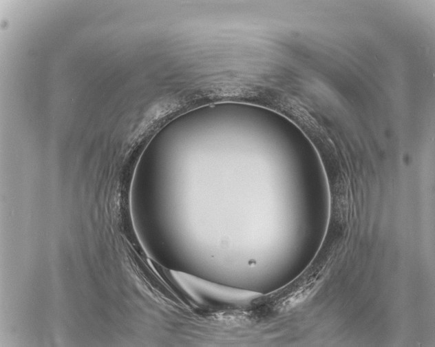 X0000060770207200511141306