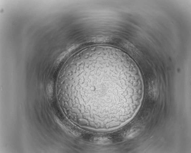 X0000060770208200511141306