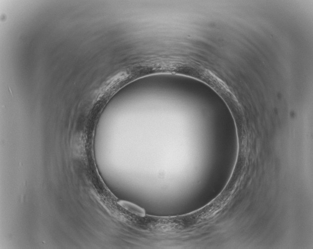 X0000060770209200511141306