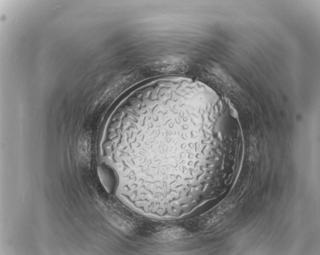 X0000060770210200511141306