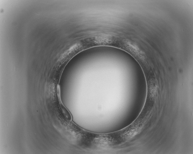 X0000060770211200511141306