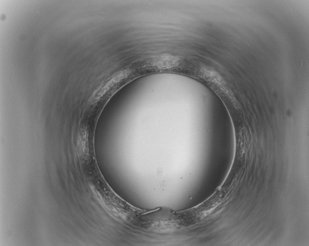 X0000060770212200511141306