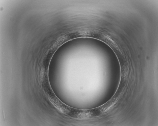 X0000060770213200511141306