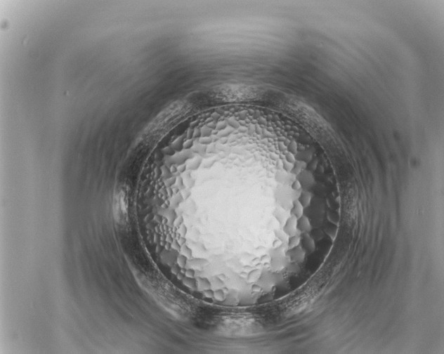 X0000060770214200511141306