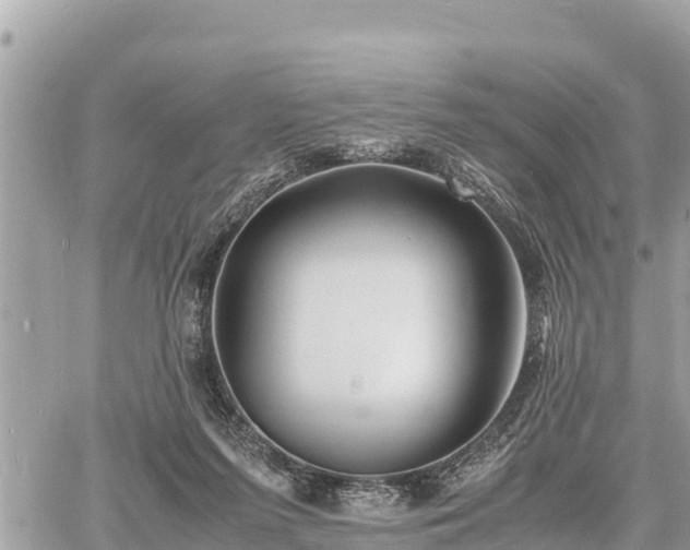 X0000060770215200511141306