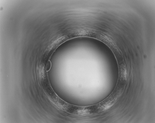 X0000060770216200511141306