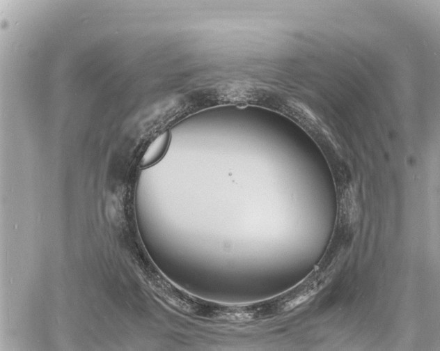 X0000060770217200511141306