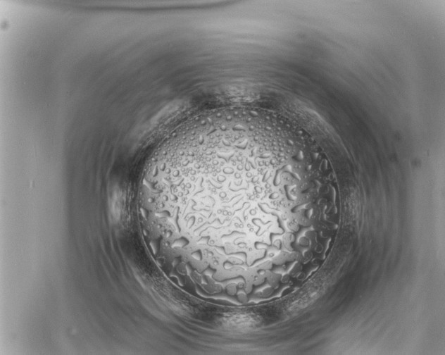 X0000060770218200511141306