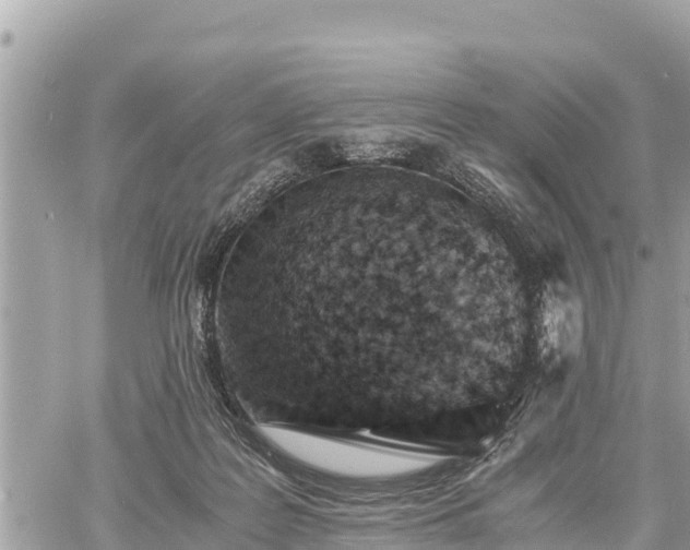 X0000060770219200511141306