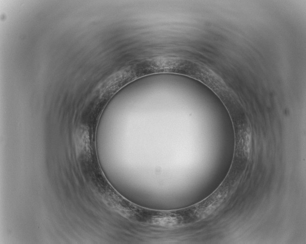 X0000060770220200511141306