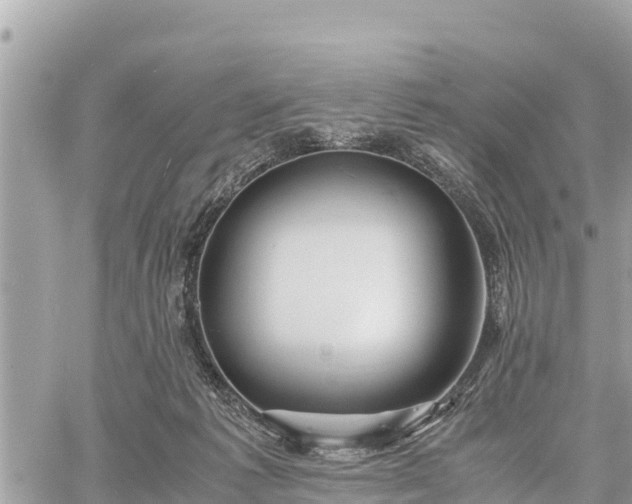 X0000060770221200511141306