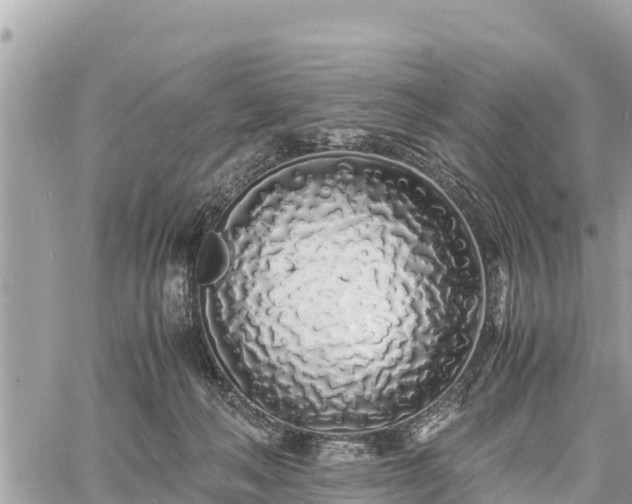 X0000060770222200511141306