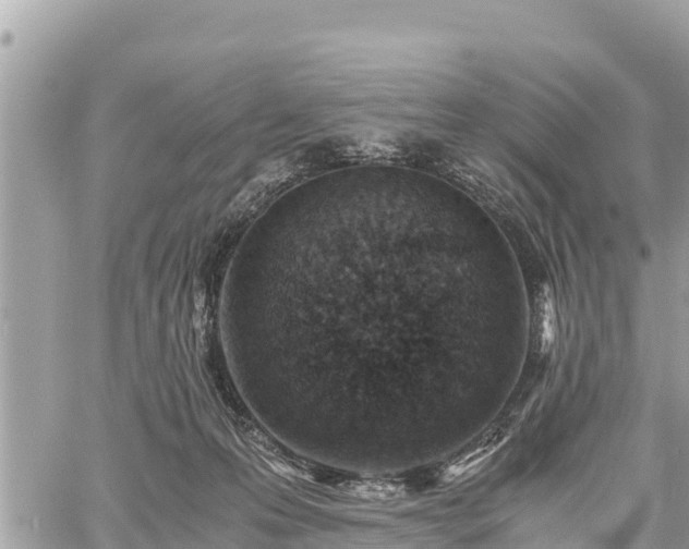 X0000060770223200511141306